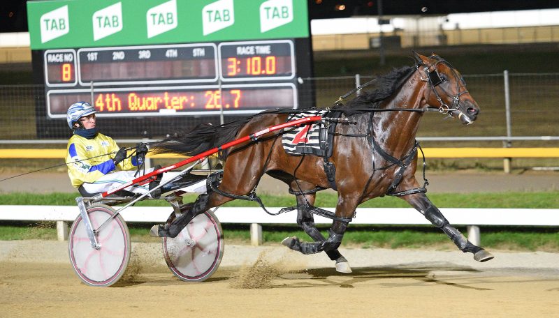 Max Delight wins the Ladbrokes Horse of the Year