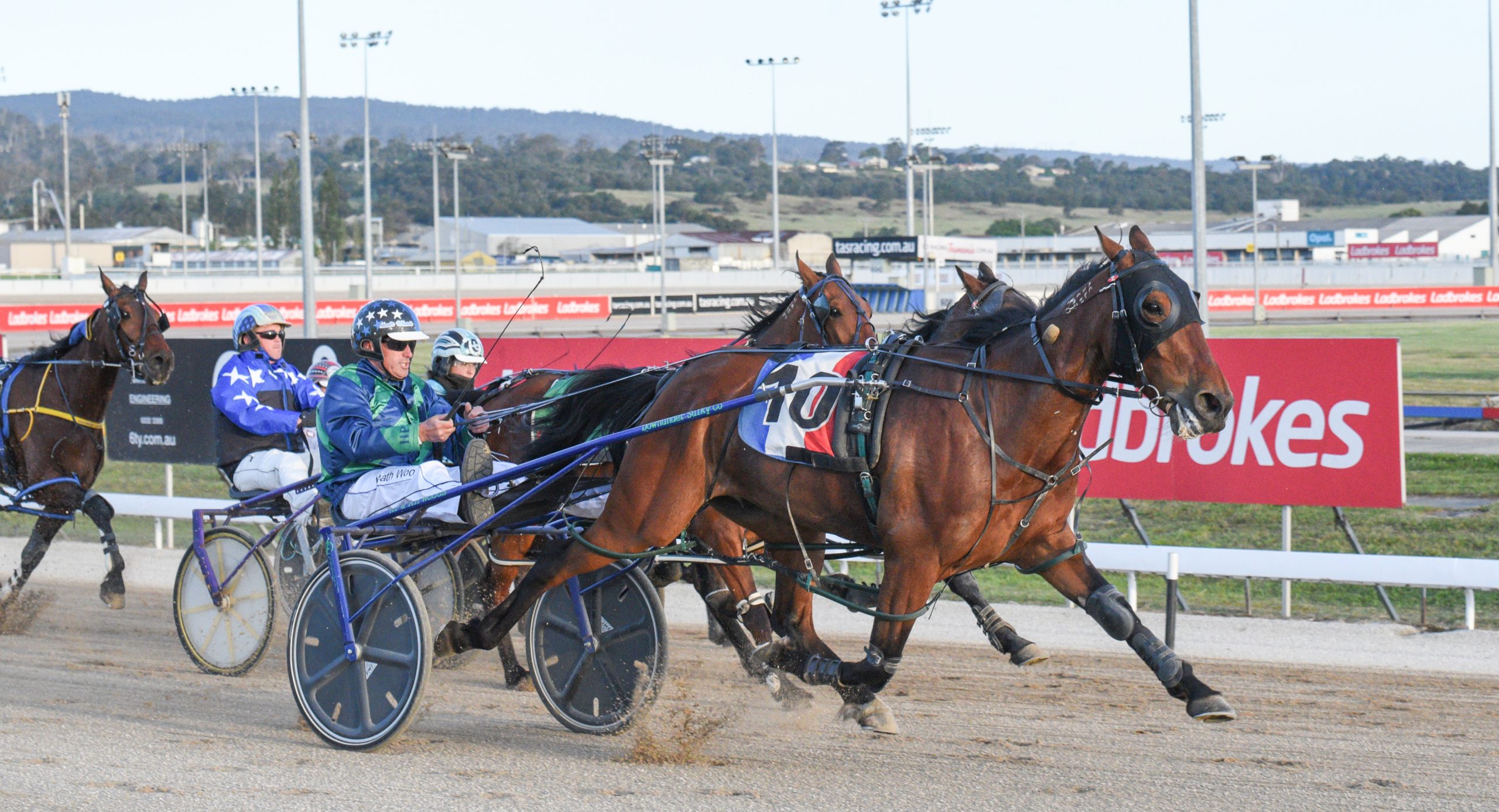 Who will be crowded Tasmania’s harness racings best from the 2021 season?