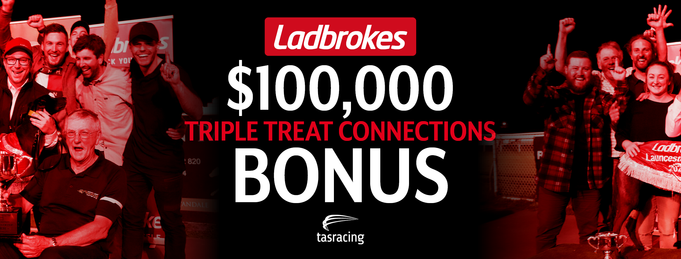 $100,000 bonus available for three greyhound races
