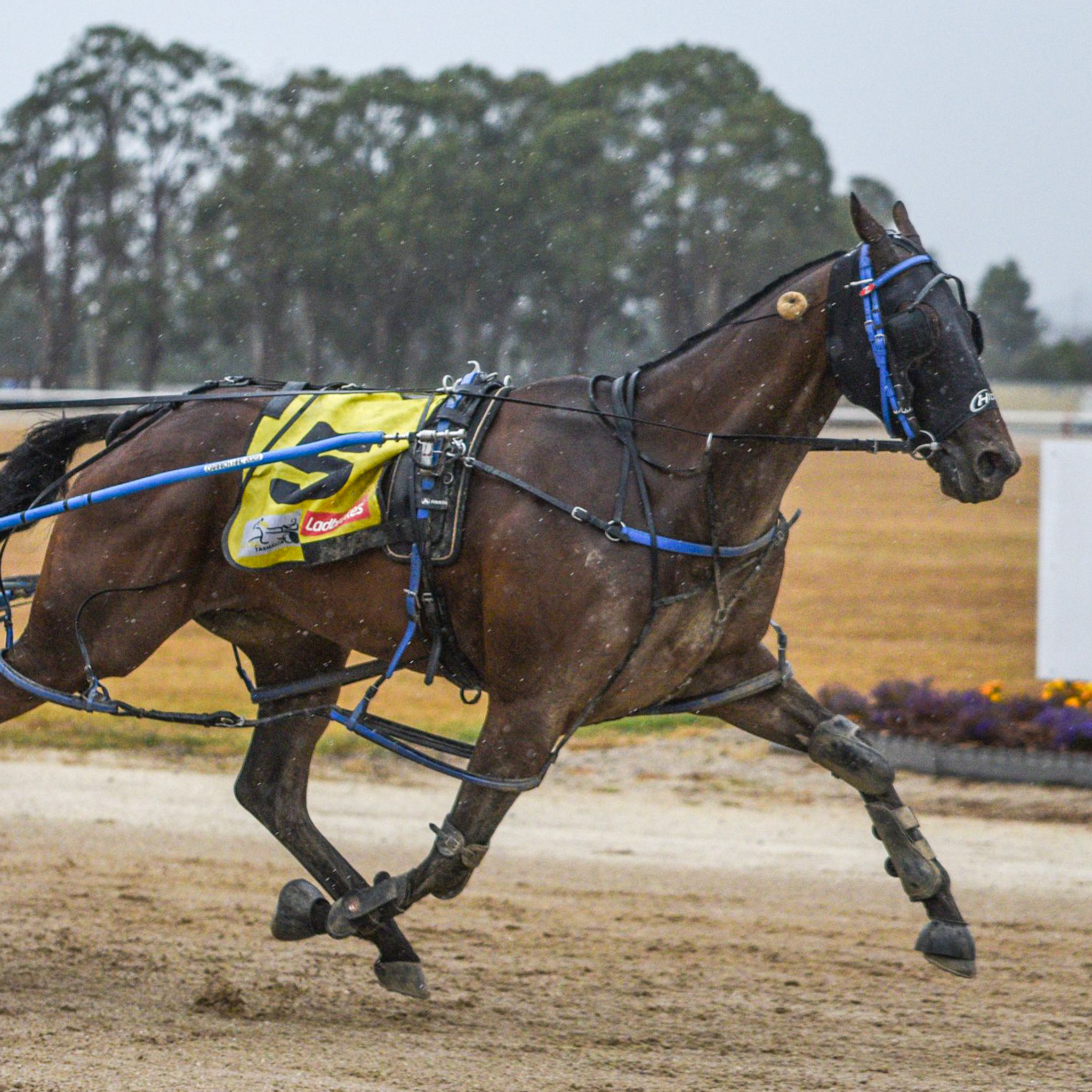 Vale Ian Kent